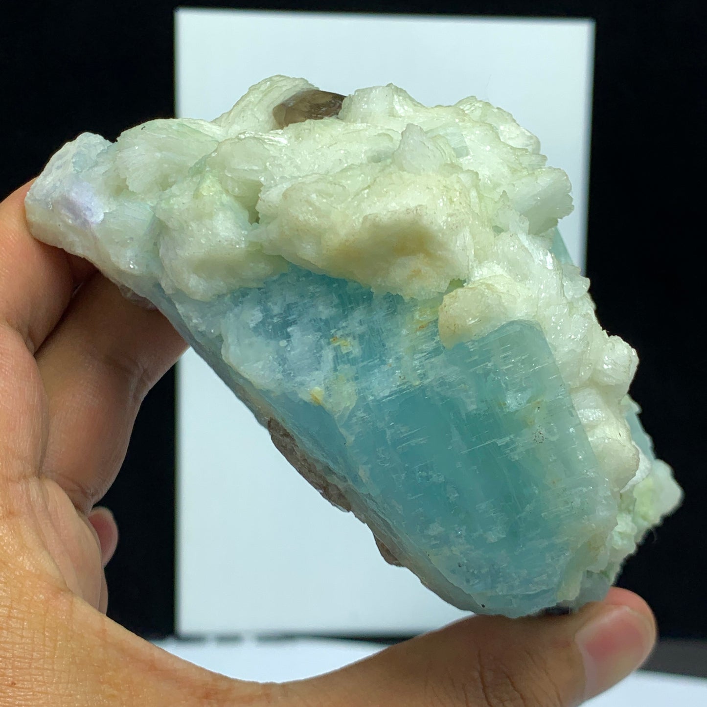 Aquamarine Crystal, 2500 Carat Beryl, Deep Blue Aquamarine, Raw Crystal Specimen, Afghanistan Mineral, Large Aquamarine, Rough Gemstone, Investment Mineral, Beryl Crystal, Blue Crystal