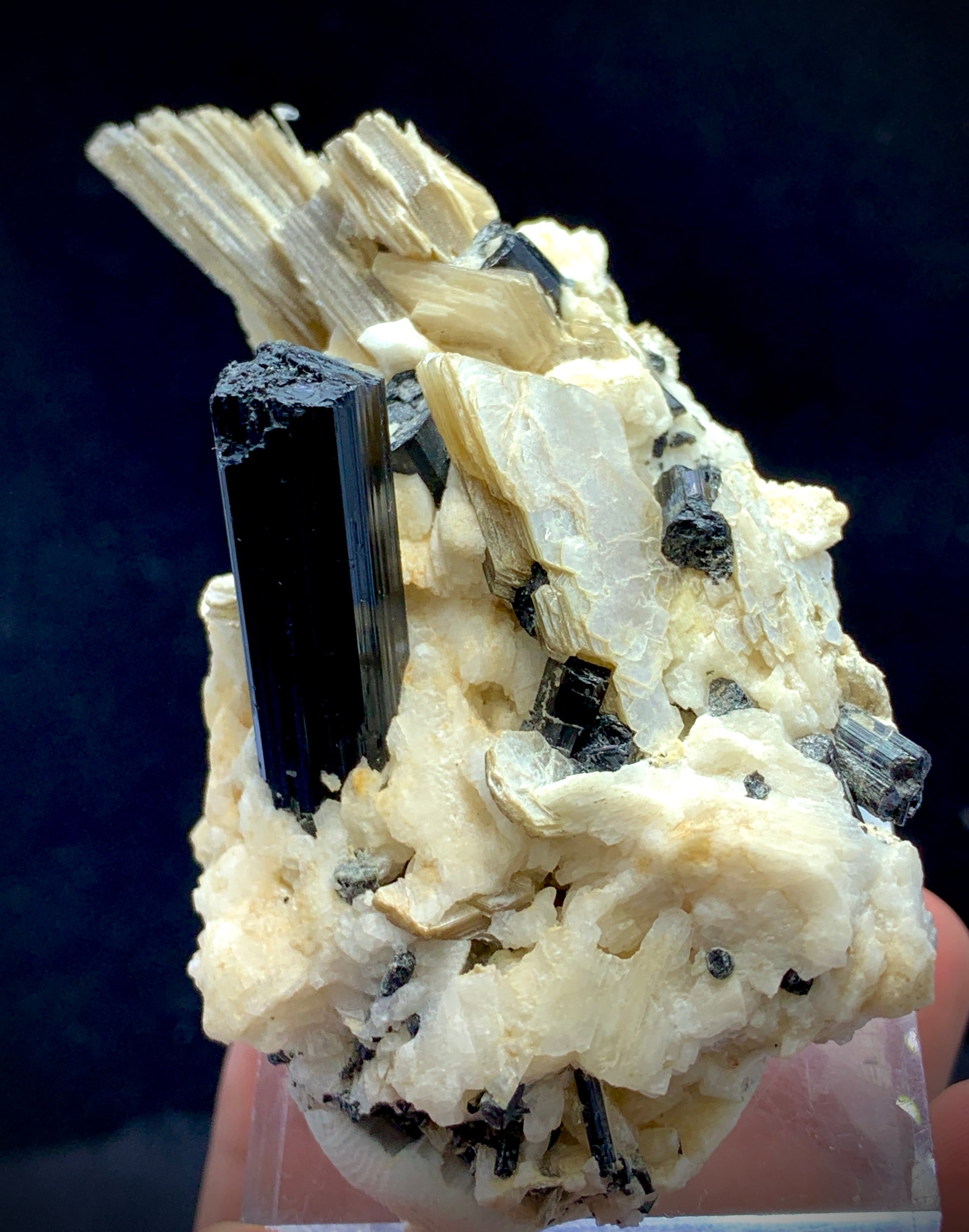Black Tourmaline Schorl Crystal Cluster on Matrix | Pakistan Mineral Specimen