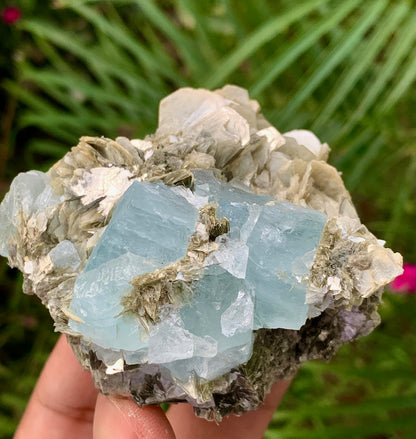 194 Grams Natural Aquamarine Etched Cluster of Crystals on Muscovite Mica Matrix from Shigar Pakistan