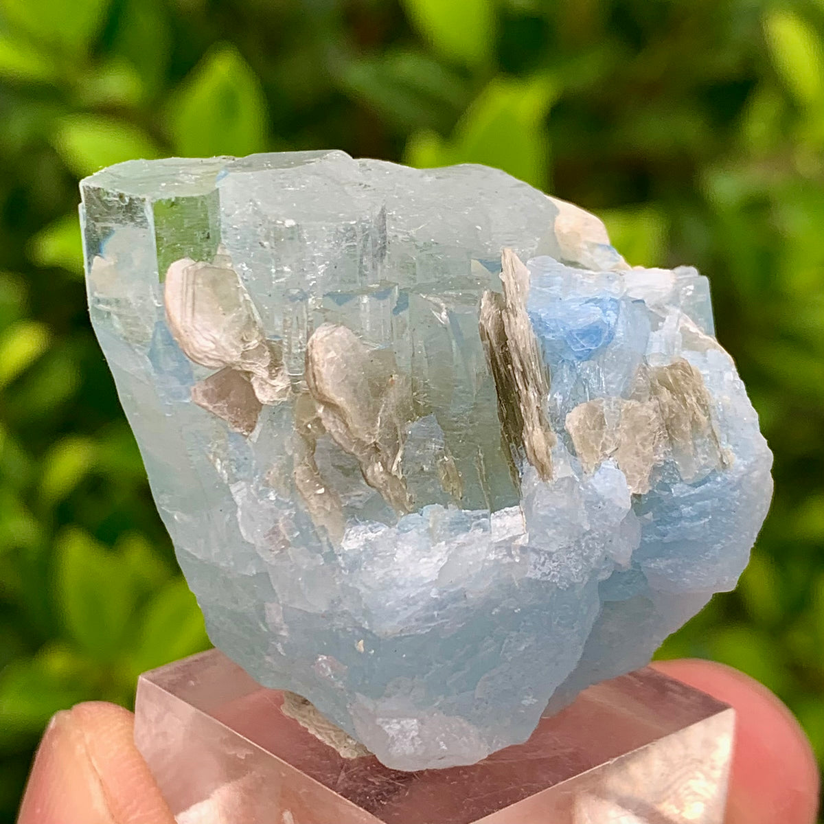 40 Grams Natural Blue Aquamarine Terminated Crystal Specimen on Muscovite Mica Matrix From Pakistan