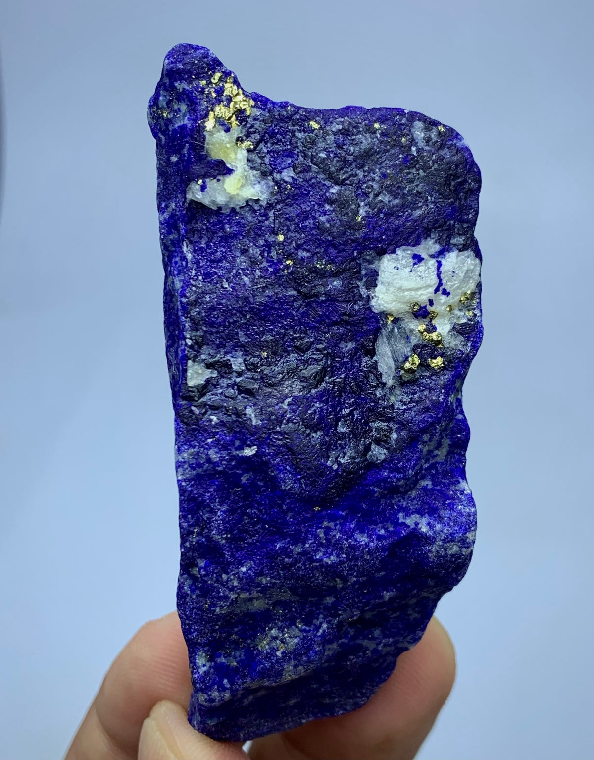A raw blue lapis lazuli crystal specimen with gold pyrite and white calcite inclusions, held in a person's hand against a light blue background.