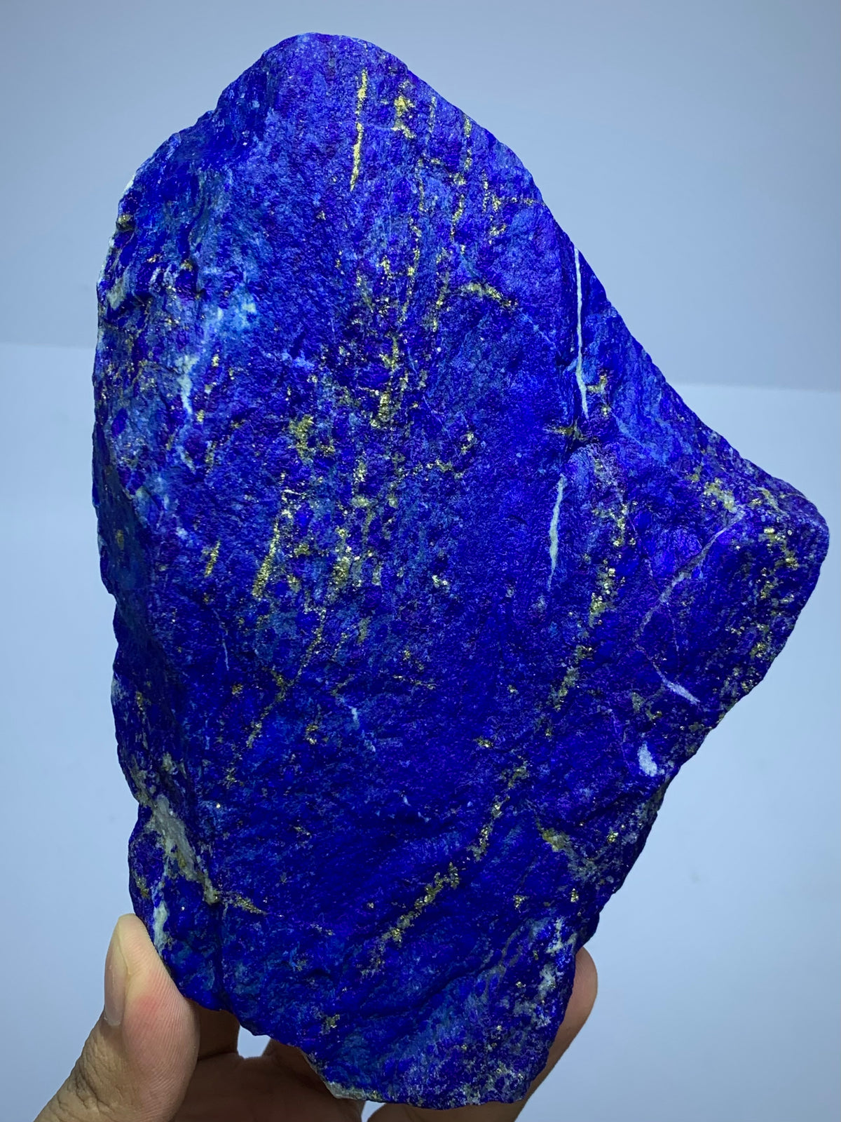 Rough Blue Lapis Lazuli Crystal specimen with golden Pyrite veins,