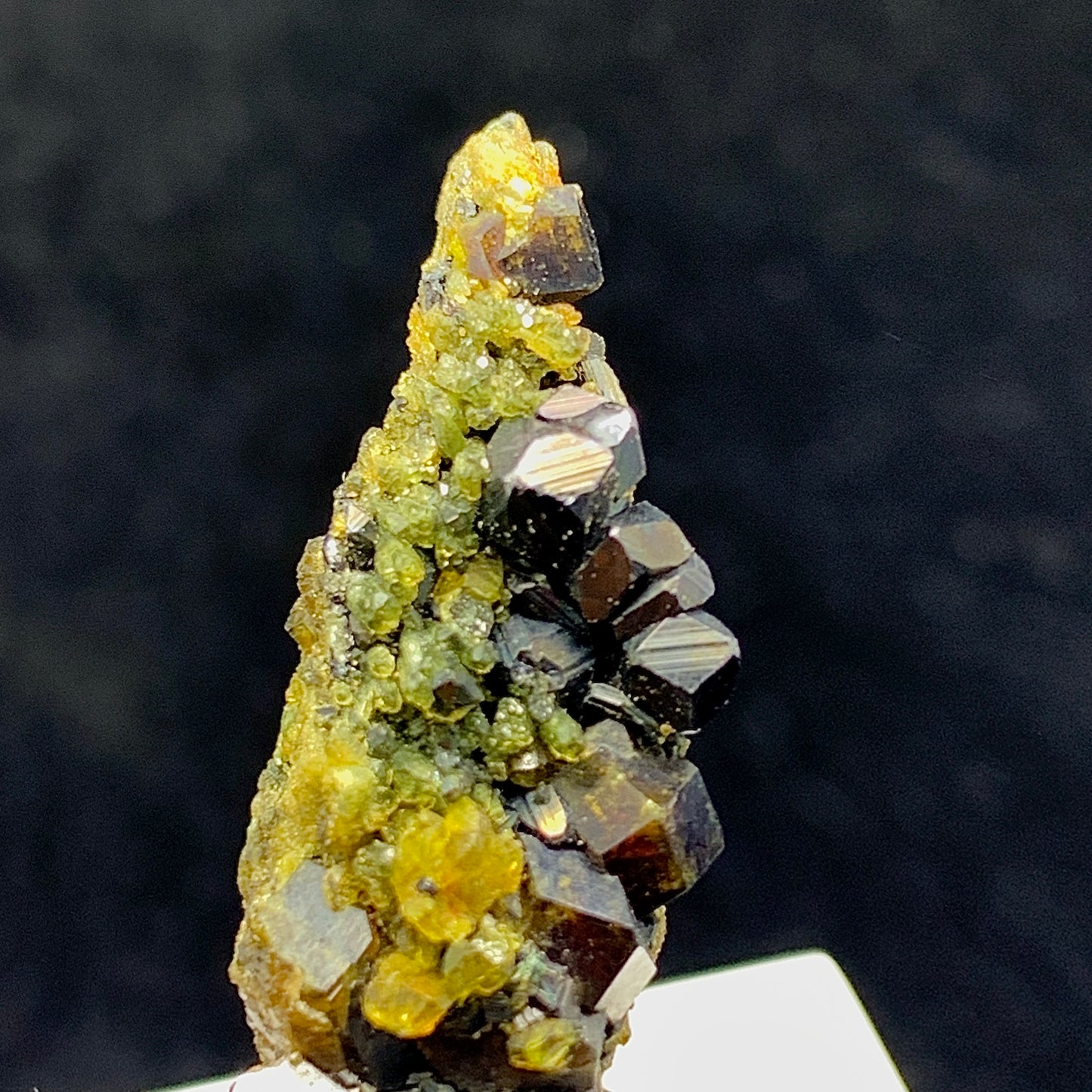 Andradite Garnet, Vesuvianite, Magnetite, 63 Carat, Skardu Pakistan, Mineral Association, Garnet Crystal, Idocrase, Collector Specimen, Pakistan Mineral