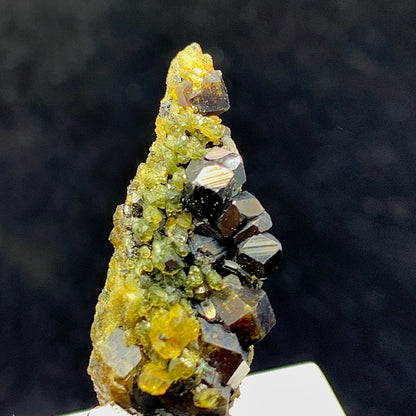 Andradite Garnet, Vesuvianite, Magnetite, 63 Carat, Skardu Pakistan, Mineral Association, Garnet Crystal, Idocrase, Collector Specimen, Pakistan Mineral
