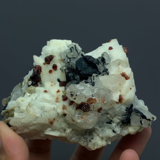 Red Garnet, Black Tourmaline, Feldspar Matrix, Tourmaline Garnet, Pakistan Specimen, Raw Crystal, Mineral Cluster, Collector Grade, Protection Crystal, Garnet on Matrix