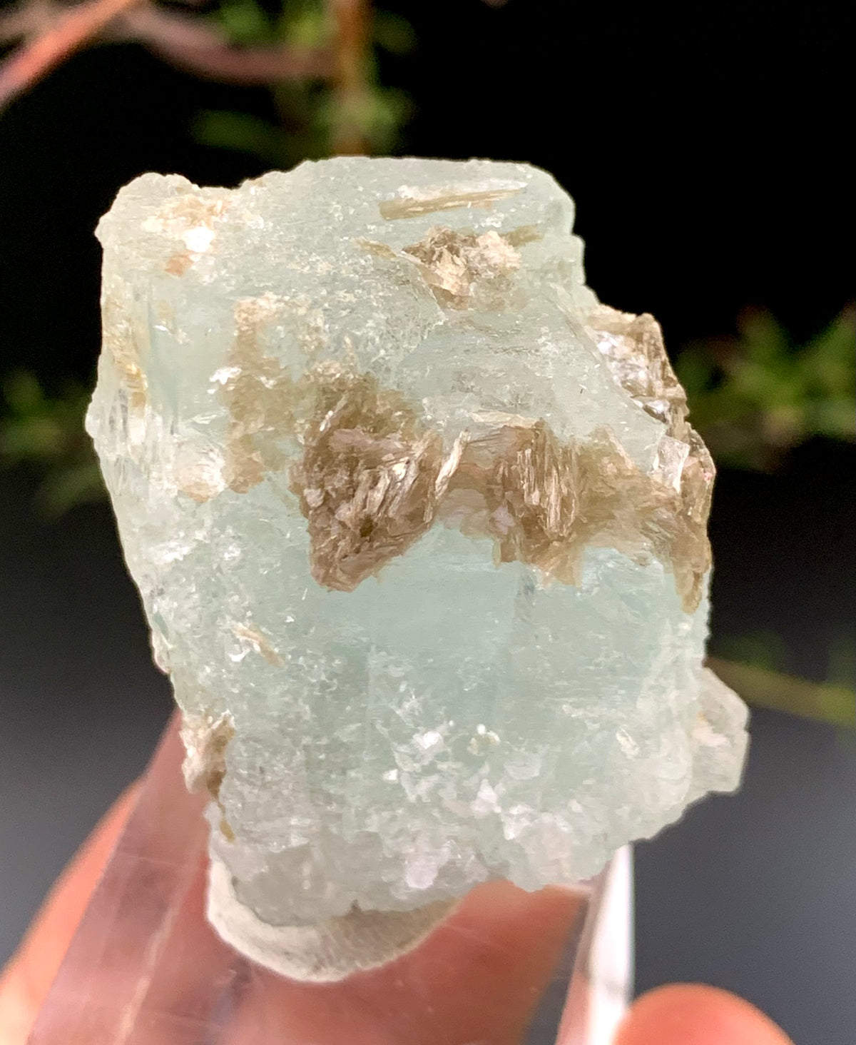 36g Natural Etched Aquamarine Crystal on Muscovite Mica Matrix from Pakistan
