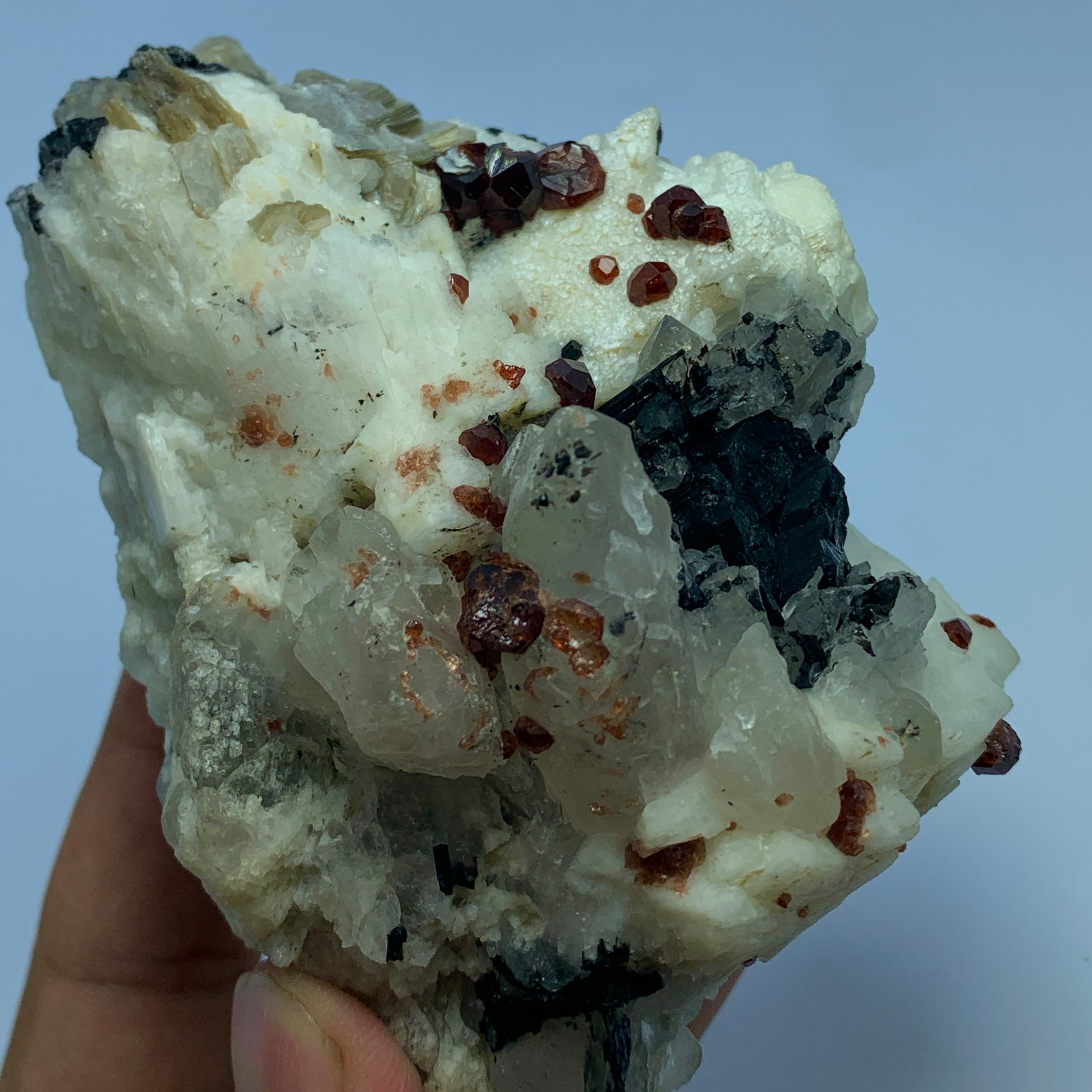 Red Garnet, Black Tourmaline, Feldspar Matrix, Tourmaline Garnet, Pakistan Specimen, Raw Crystal, Mineral Cluster, Collector Grade, Protection Crystal, Garnet on Matrix