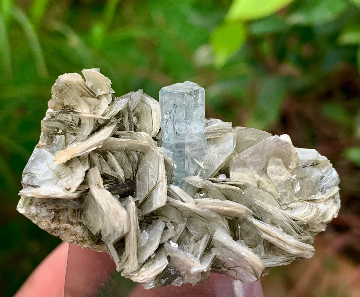 Blue Aquamarine beautiful termination crystal on Muscovite mica from skardu Pakistan Natural crystal specimen