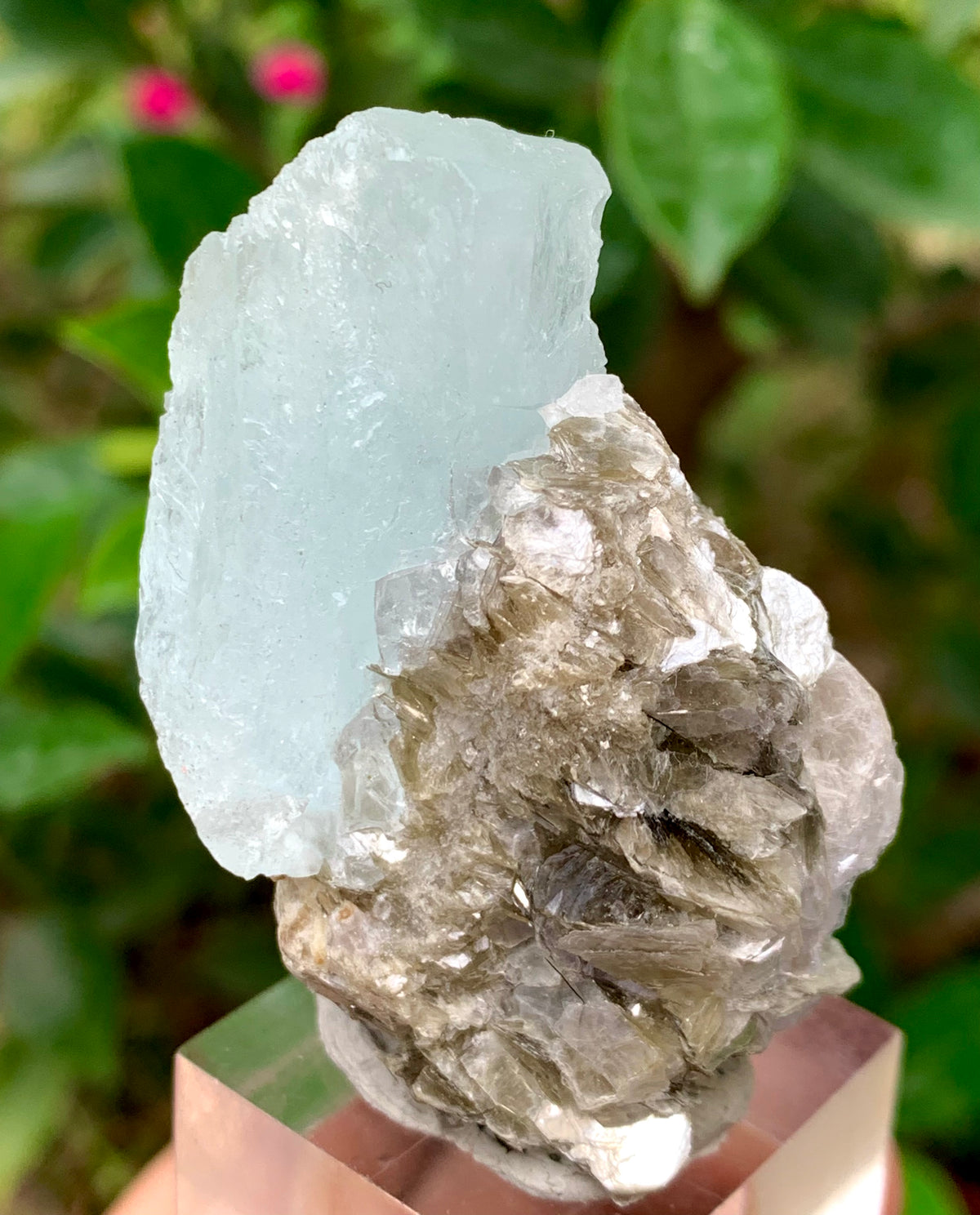 46 Grams Natural Etched Aquamarine Crystal on Muscovite Mica Matrix from Pakistan