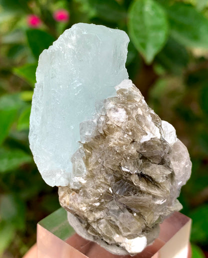 46 Grams Natural Etched Aquamarine Crystal on Muscovite Mica Matrix from Pakistan