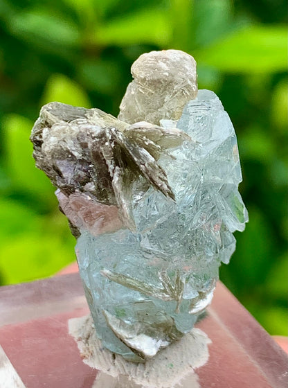 7 Grams Natural Etched Blue Aquamarine Terminated Crystal Specimen on Muscovite Mica Matrix From Pakistan