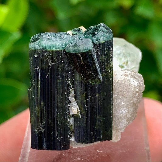 Natural Bluecap Tourmaline Bunches of Crystal with Quartz Terminated Crystal, Lepidolite and Mica Matrix
