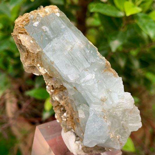 Natural Aquamarine Etched Crystal Specimen on Muscovite Mica Matrix from Pakistan