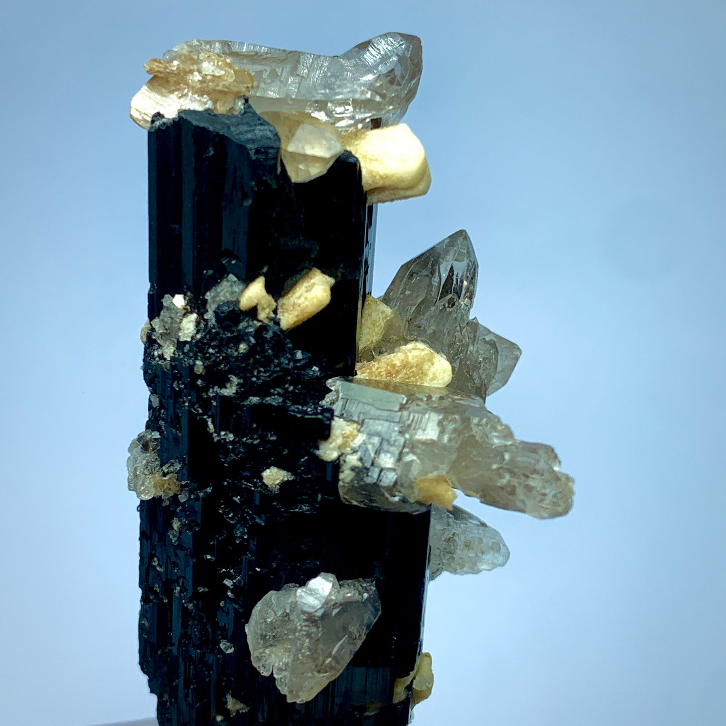 Black Tourmaline on Cathedral Etched Quartz - Afghanistan
