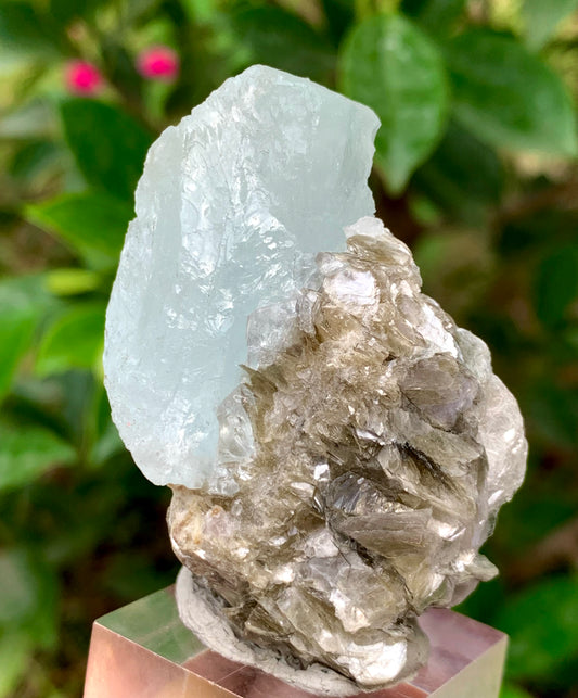 46 Grams Natural Etched Aquamarine Crystal on Muscovite Mica Matrix from Pakistan