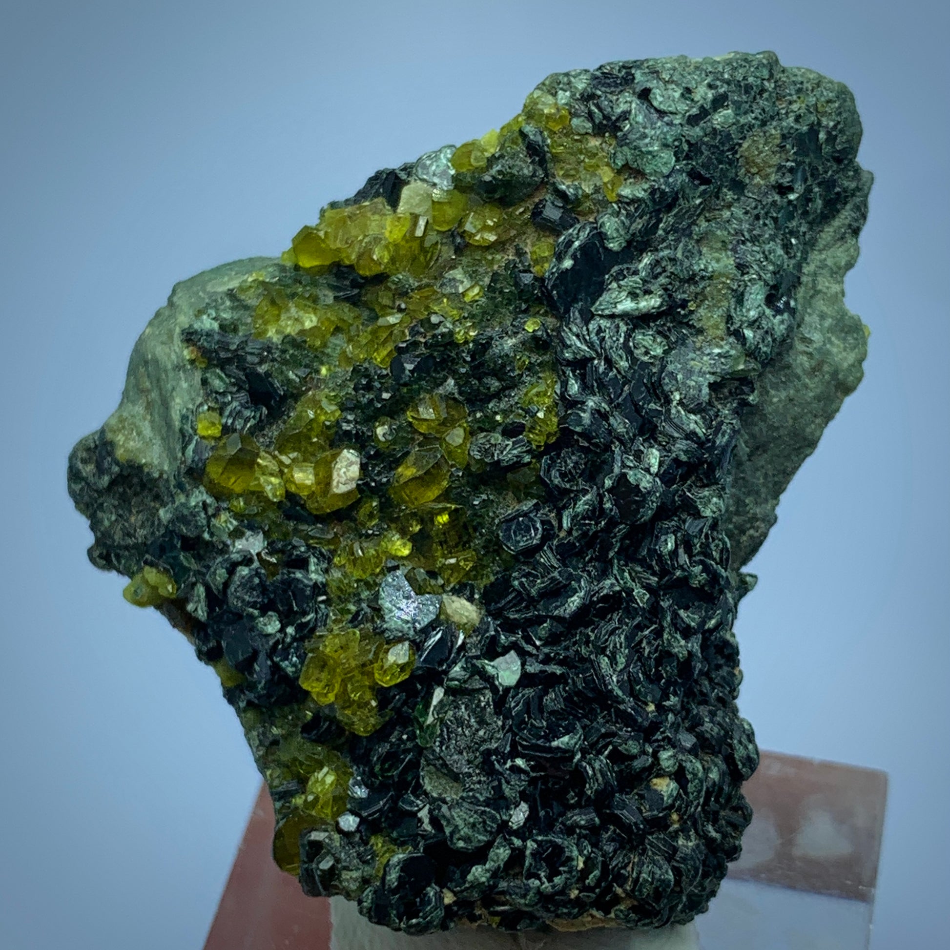 Vesuvianite Crystal, 127 Carat, Biotite Matrix, Idocrase, Shigar Pakistan, Mineral Association, Collector Crystal, Rare Mineral, Pakistan Gemstone