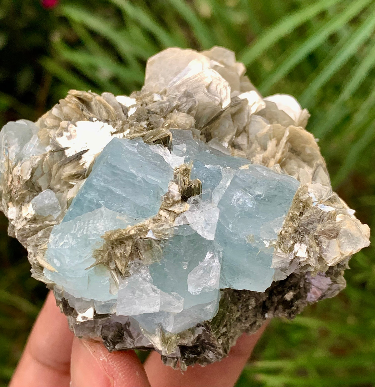 194 Grams Natural Aquamarine Etched Cluster of Crystals on Muscovite Mica Matrix from Shigar Pakistan