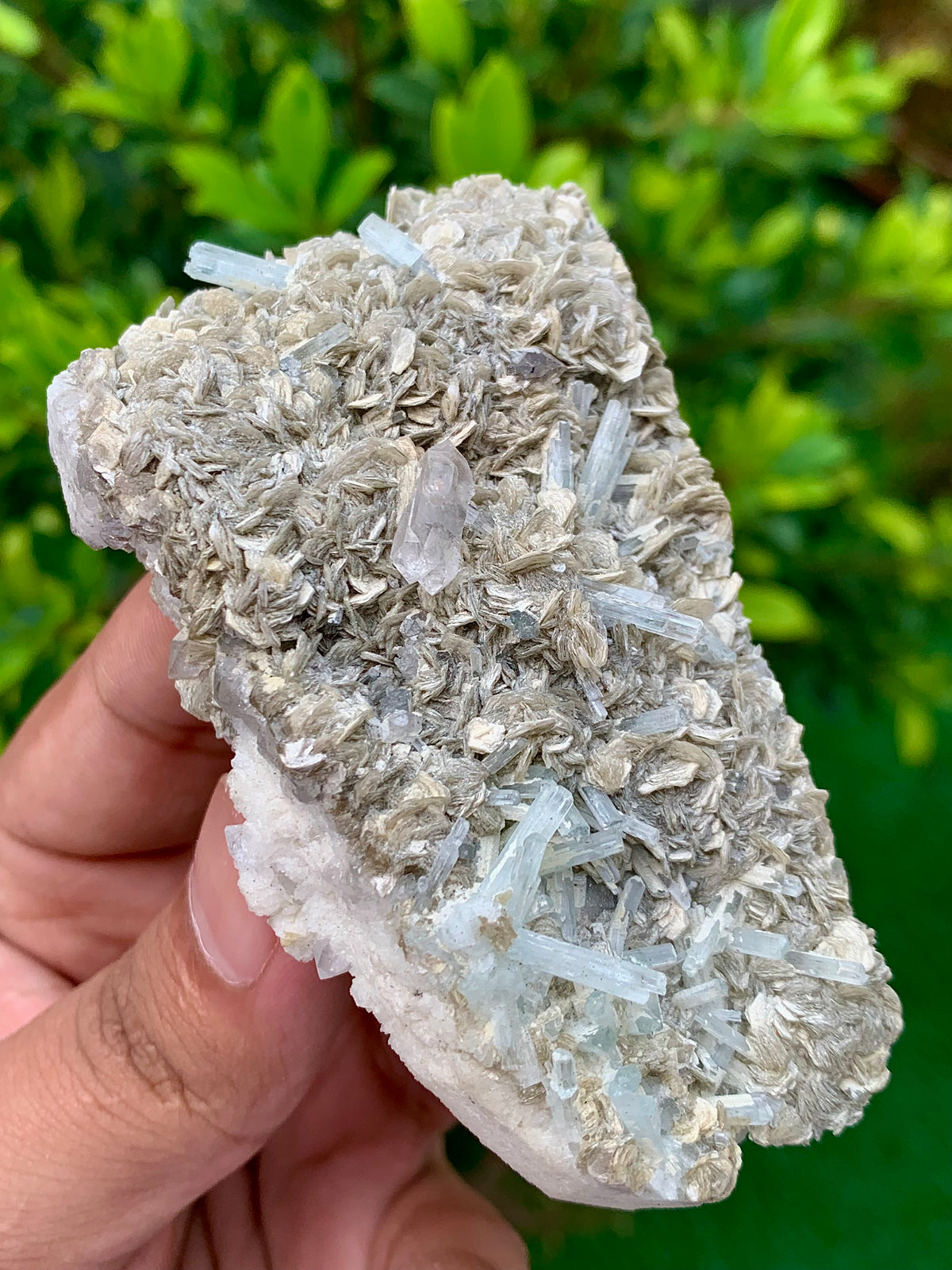 116 Grams Natural Aquamarine Terminated Cluster of Crystal with Gwindel Quartz Crystal on Muscovite Mica Matrix From Pakistan