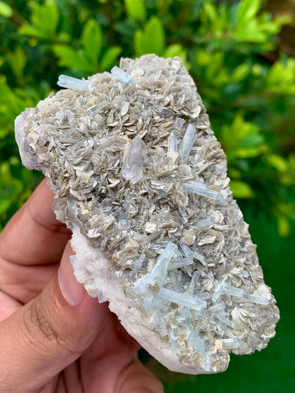116 Grams Natural Aquamarine Terminated Cluster of Crystal with Gwindel Quartz Crystal on Muscovite Mica Matrix From Pakistan