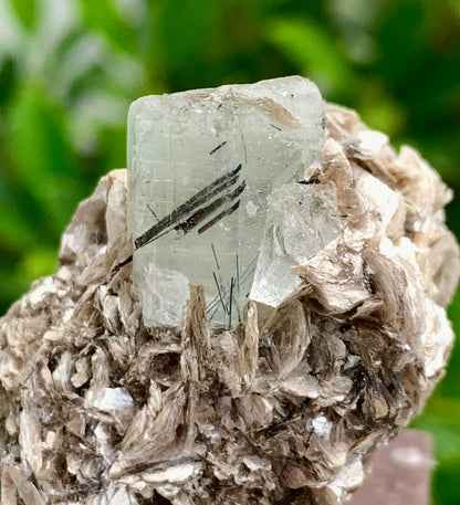 32 Grams natural blue Aquamarine crystal Black Tourmaline needle in aquamarine crystal on Muscovite Mica matrix from Pakistan