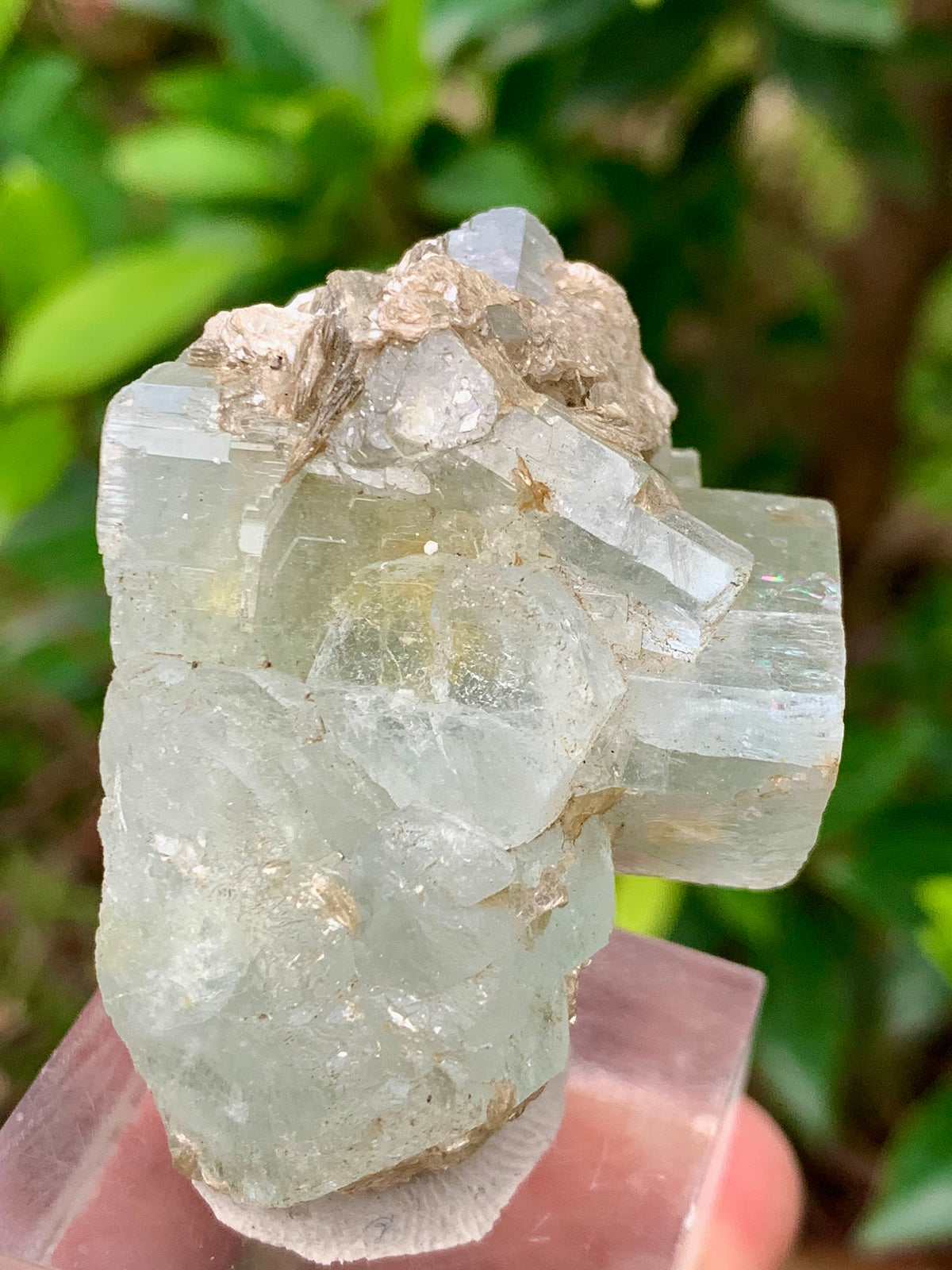 50 Grams Natural Blue Aquamarine Terminated Bunches of Crystal with Muscovite Mica from Pakistan