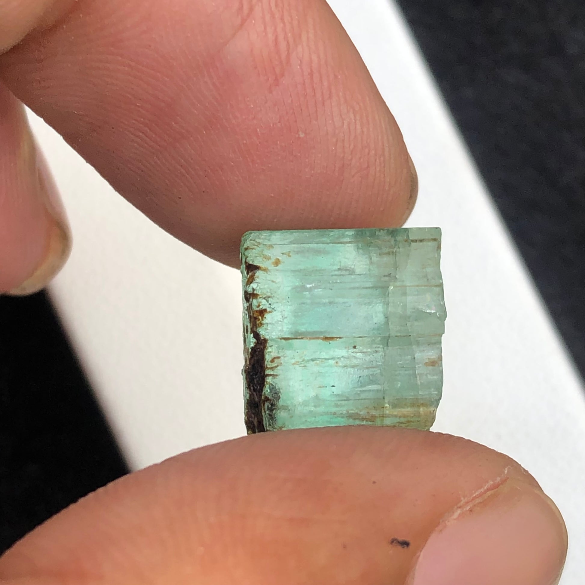 Emerald Rough, 14.5 Carat Emerald, Uncut Gemstone, Vivid Green, Afghan Emerald, Afghanistan Crystal, Raw Beryl, Emerald Crystal, May Birthstone, Lapidary Rough, Investment Grade