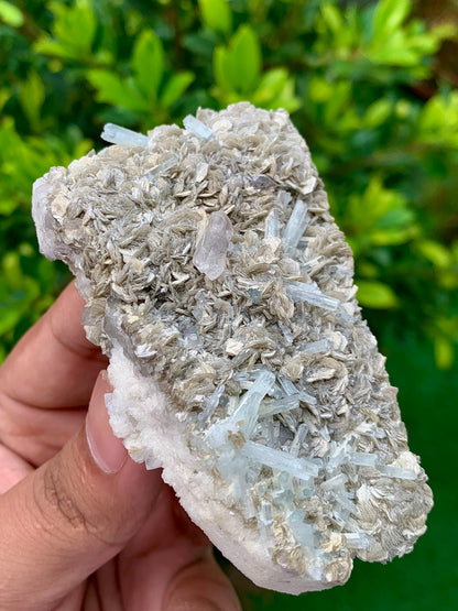 116 Grams Natural Aquamarine Terminated Cluster of Crystal with Gwindel Quartz Crystal on Muscovite Mica Matrix From Pakistan