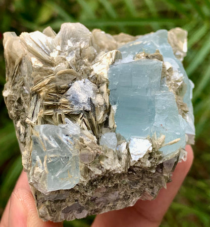A hand holding a raw mineral specimen featuring pale blue fluorite cubes and tan-brown pyrite needles on a gray matrix, with a blurred green outdoor background.