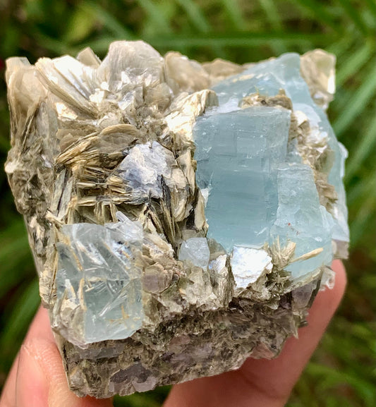 A hand holding a raw mineral specimen featuring pale blue fluorite cubes and tan-brown pyrite needles on a gray matrix, with a blurred green outdoor background.