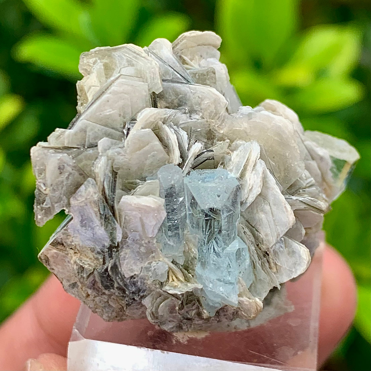 22 Grams Natural Blue Aquamarine Terminated Crystal Specimen on Muscovite Mica Matrix From Pakistan