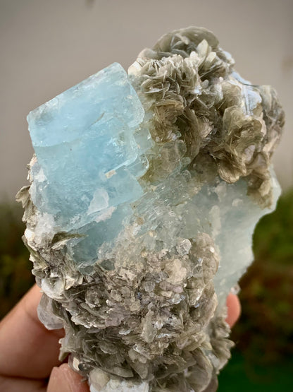 342 Grams Natural Blue Aquamarine Terminated Crystal Specimen on Muscovite Mica Matrix From Pakistan
