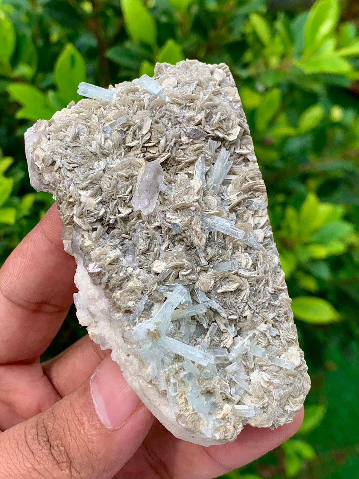 116 Grams Natural Aquamarine Terminated Cluster of Crystal with Gwindel Quartz Crystal on Muscovite Mica Matrix From Pakistan