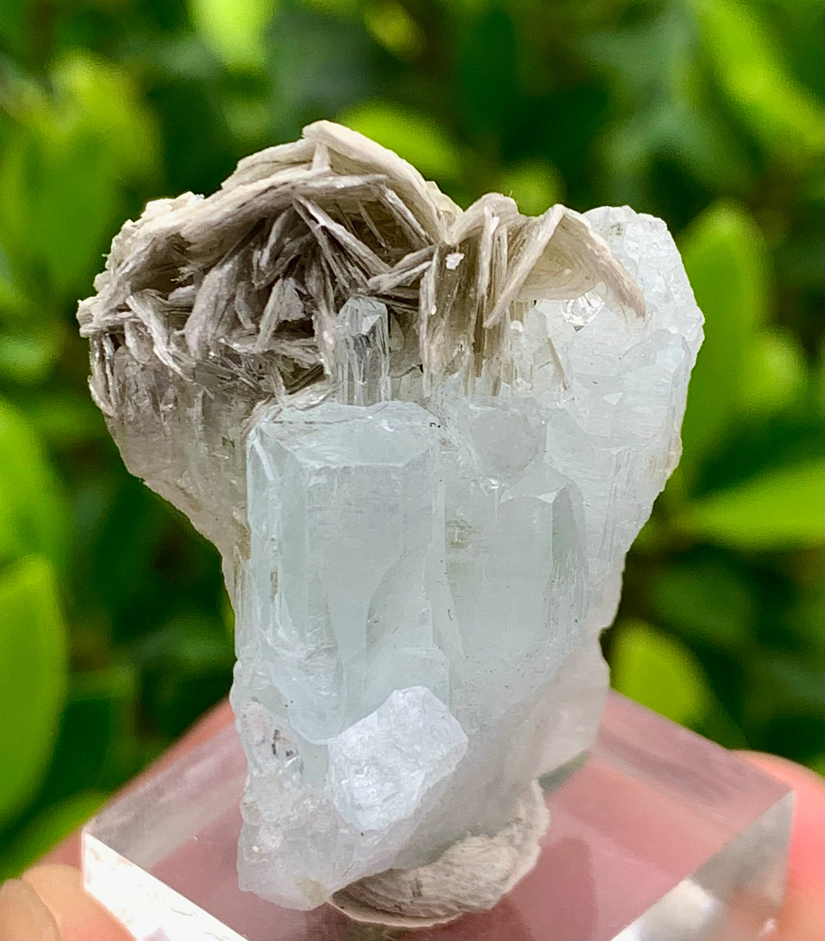 20 Grams Natural Blue Aquamarine Terminated Crystal Specimen on Muscovite Mica Matrix From Pakistan