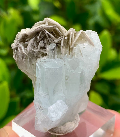 20 Grams Natural Blue Aquamarine Terminated Crystal Specimen on Muscovite Mica Matrix From Pakistan