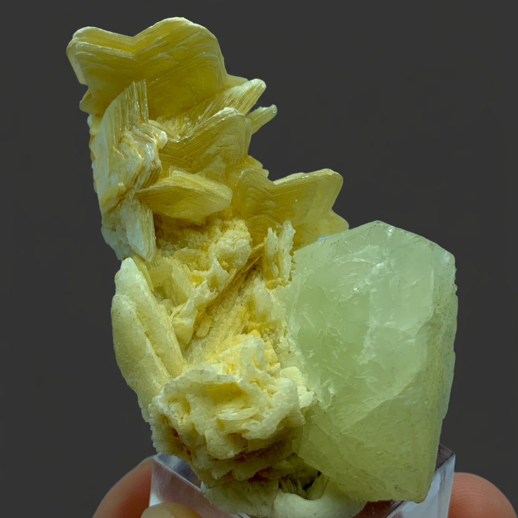 Feldspar Crystal on Star Shaped  Mica - Pakistan