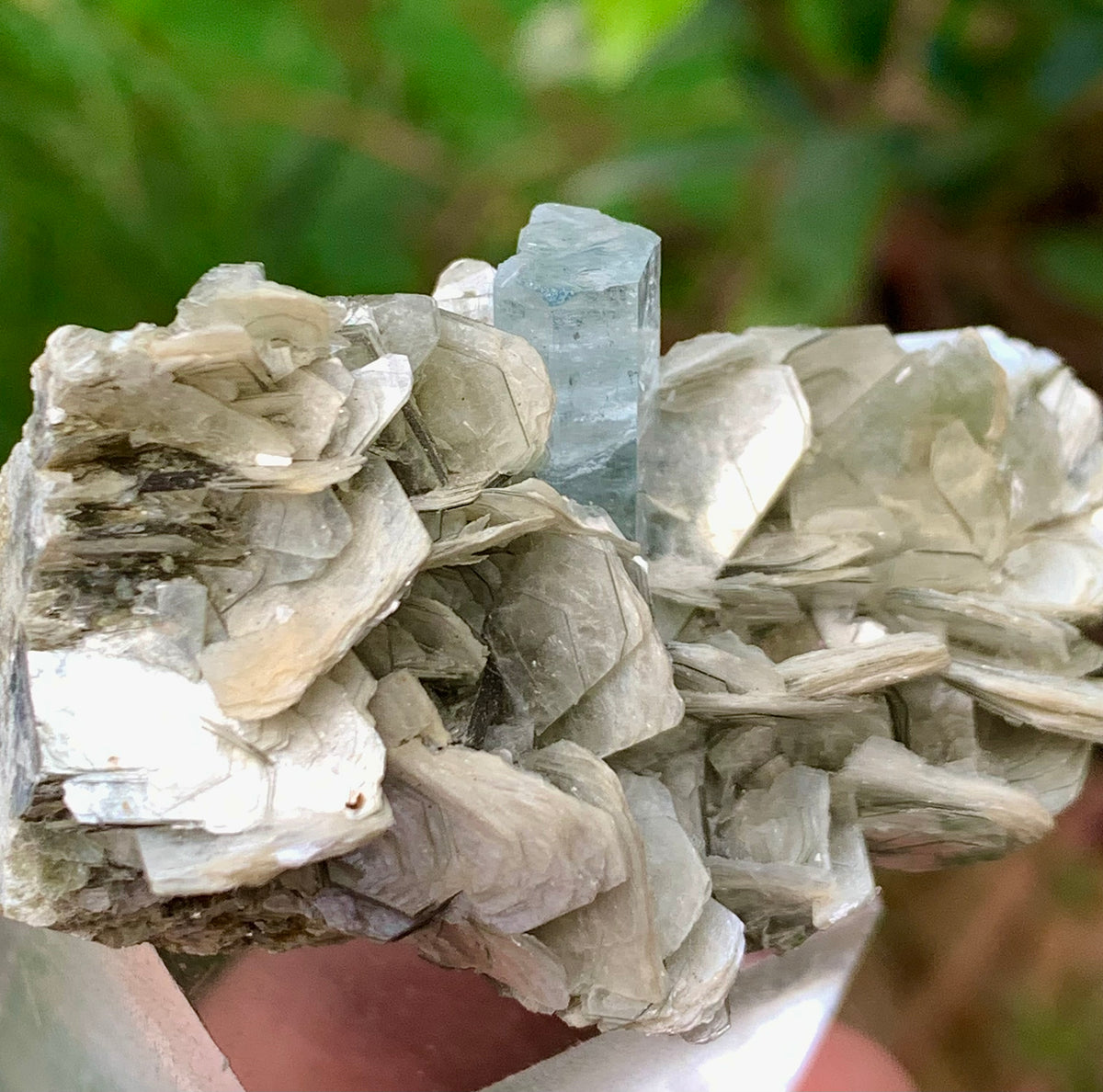 Blue Aquamarine beautiful termination crystal on Muscovite mica from skardu Pakistan Natural crystal specimen