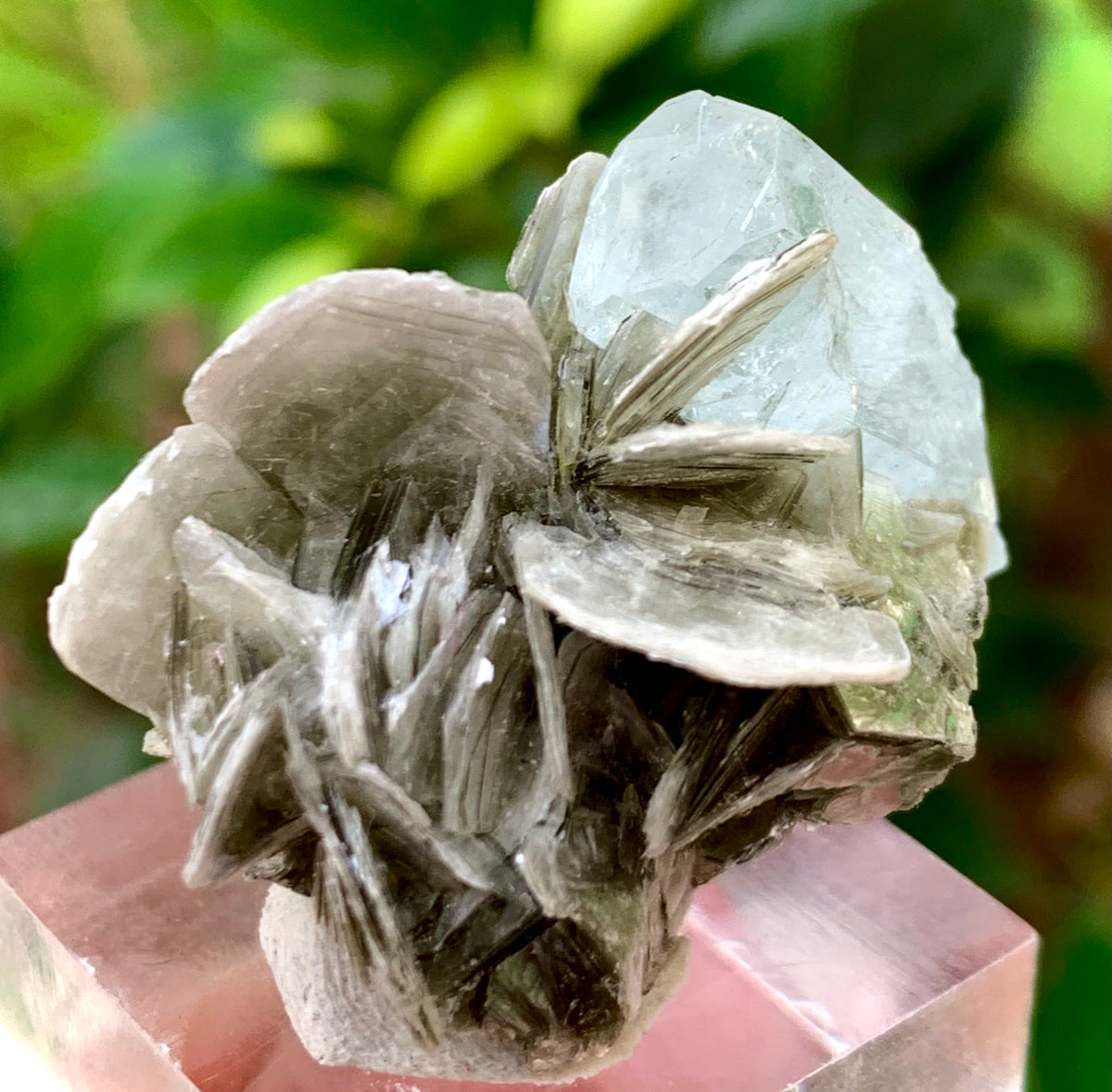 12 Grams Natural Termination Blue Aquamarine Crystal on Muscovite Mica Matrix from Skardu Pakistan