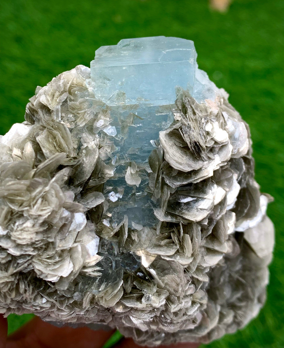 342 Grams Natural Blue Aquamarine Terminated Crystal Specimen on Muscovite Mica Matrix From Pakistan