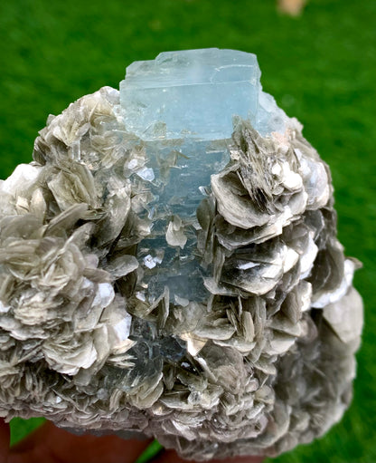 342 Grams Natural Blue Aquamarine Terminated Crystal Specimen on Muscovite Mica Matrix From Pakistan