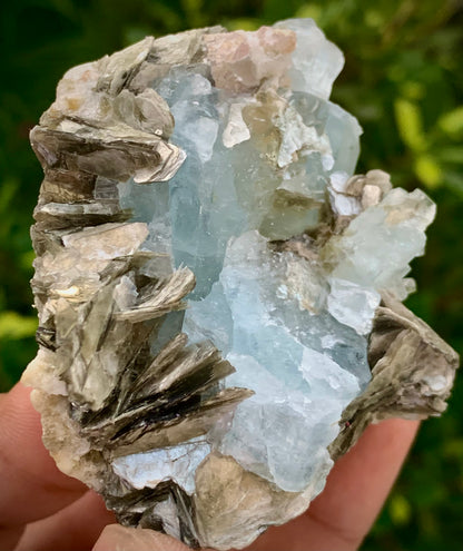 126 Grams Natural Blue Aquamarine Terminated Crystal Specimen on Muscovite Mica Matrix From Pakistan