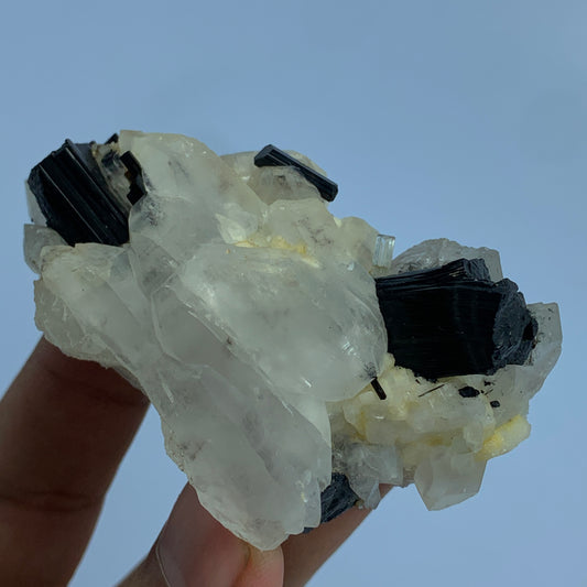Mineral sample with clear and black crystals held against a white light