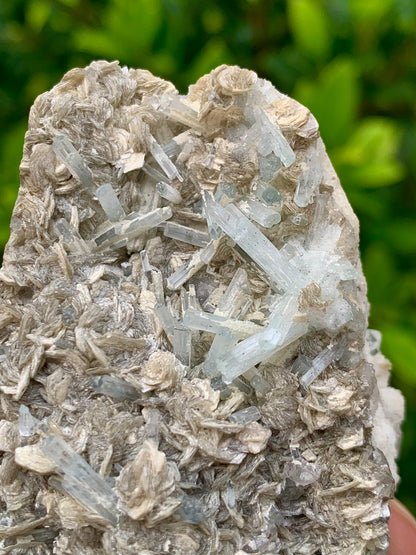 116 Grams Natural Aquamarine Terminated Cluster of Crystal with Gwindel Quartz Crystal on Muscovite Mica Matrix From Pakistan