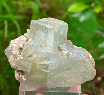 50 Grams Natural Blue Aquamarine Terminated Bunches of Crystal with Muscovite Mica from Pakistan