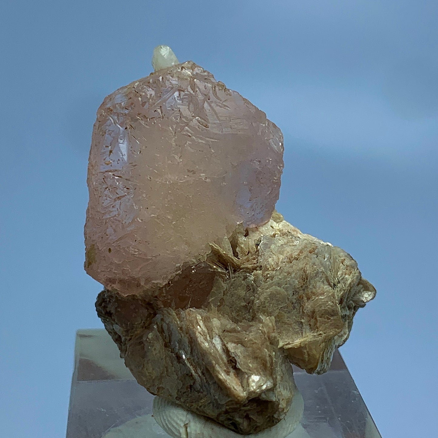 Morganite Crystal, Etched Morganite, Beryl Crystal, Muscovite Matrix, Calcite on Morganite, Pink Beryl, Rare Mineral, Collector Specimen, Crystal Cluster, Heart Chakra