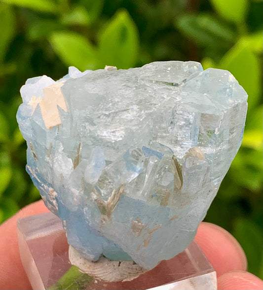 40 Grams Natural Blue Aquamarine Terminated Crystal Specimen on Muscovite Mica Matrix From Pakistan