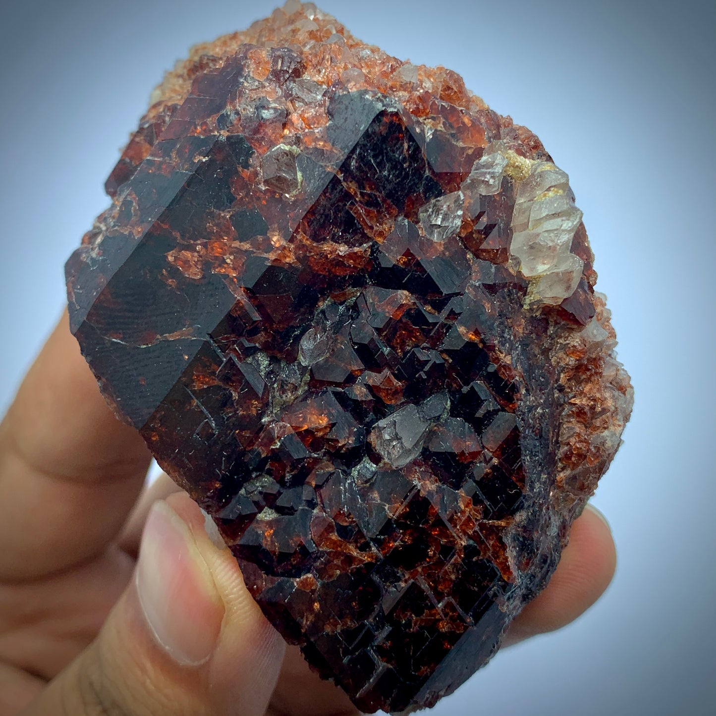 Rhodolite Garnet, Garnet Cluster, 1077 Carat, Quartz Matrix, January Birthstone, Collector Grade, Raw Garnet, Red Crystal, Raspberry Garnet, Birthstone Gift