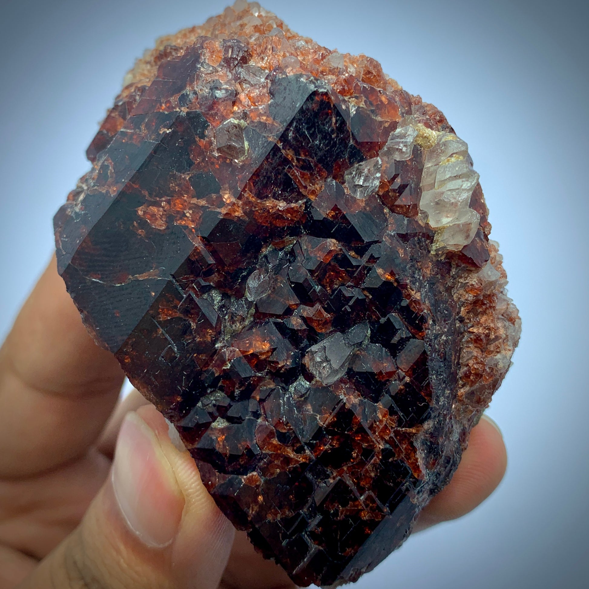 Rhodolite Garnet, Garnet Cluster, 1077 Carat, Quartz Matrix, January Birthstone, Collector Grade, Raw Garnet, Red Crystal, Raspberry Garnet, Birthstone Gift