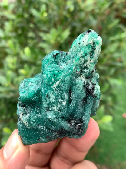 Natural Green Emerald on Matrix from Chitral Pakistan – Rough Emerald Crystal Cluster – Collector Mineral Specimen – 83g
