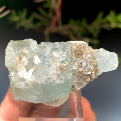 36g Natural Etched Aquamarine Crystal on Muscovite Mica Matrix from Pakistan
