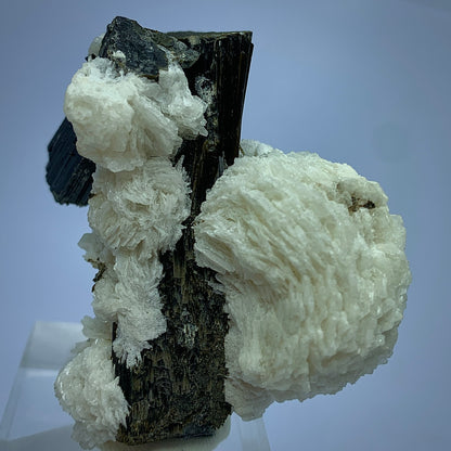 Green Cap Tourmaline, 479 Carat, Tourmaline in Albite, Pakistan Crystal, Albite Matrix, Tourmaline Specimen, Collector Crystal, Color Zone Tourmaline, Raw Tourmaline, Gemstone on Matrix